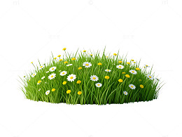 清新草地雏菊图