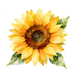 水彩向日葵装饰画
