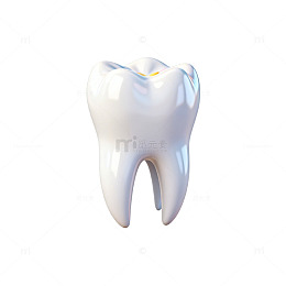 洁白牙齿3D模型图