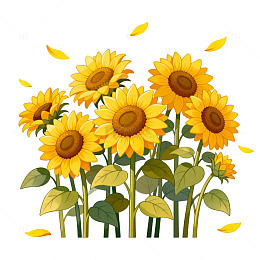 卡通向日葵插画素材