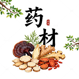 中药材插画设计素材