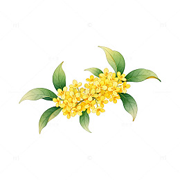 桂花黄叶水彩画