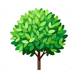 扁平化绿树矢量插画