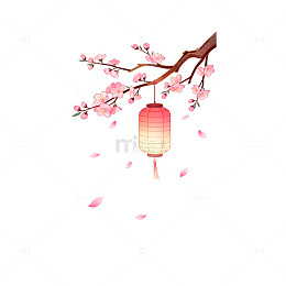 中国风梅花灯笼插画