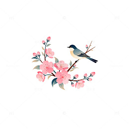 手绘花鸟图案插画