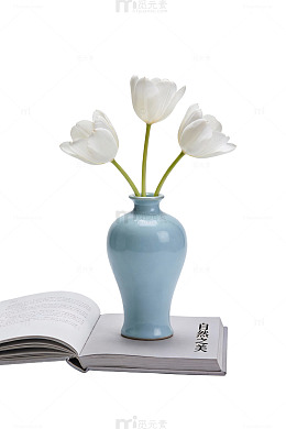 白郁金香花瓶静物75