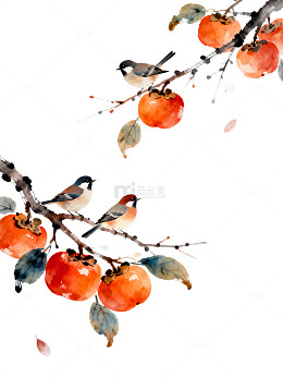 水彩柿子鸟语意境水墨画