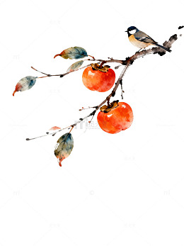 水墨柿子鸟鸣图