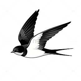 黑白燕子插画设计素材