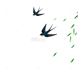 春天燕子飞柳插画素材
