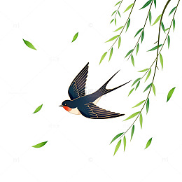 春天燕子柳枝插画