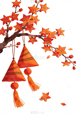 橙色灯笼花枝图21