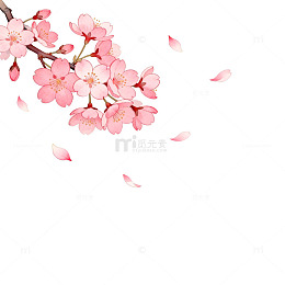 樱花盛开春日美景插画