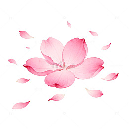 粉色樱花飘落图案设计元素