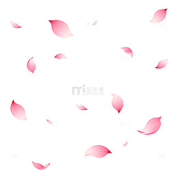 粉红花瓣飞舞背景