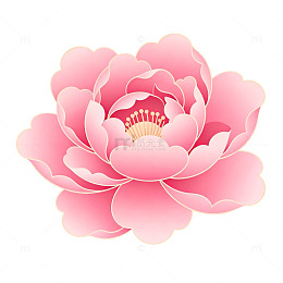 粉色牡丹花插画素材