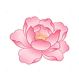 粉红山茶花矢量插画