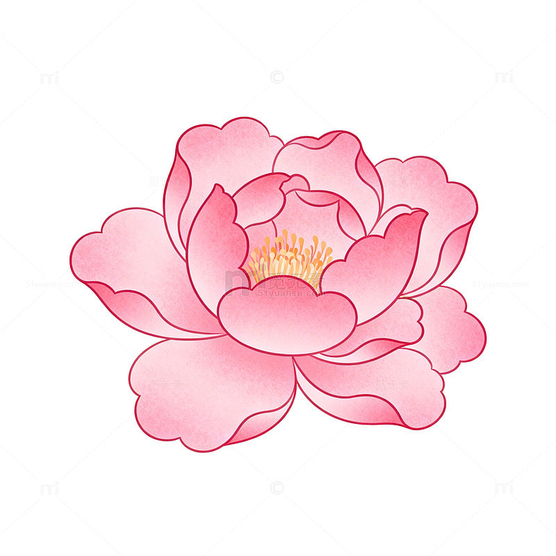 粉红山茶花矢量插画