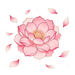 粉色山茶花插画设计素材