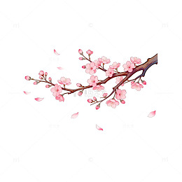 水彩樱花插画设计元素