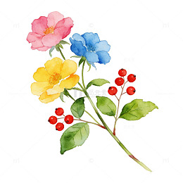水彩花卉装饰图案设计素材