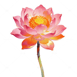 鎏金重彩荷花元素