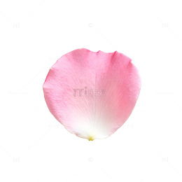 粉色花瓣透明背景装饰素材