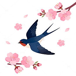 卡通燕子樱花插画