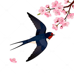 燕子樱花春季风景矢量插画