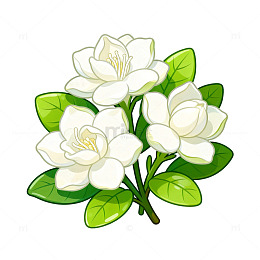 卡通手绘洁白栀子花与绿叶枝