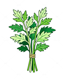 卡通风格绿叶艾草插画素材
