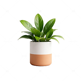 简约风格绿植盆栽矢量图