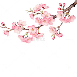 樱花盛开春日美景插画