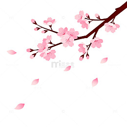简约风樱花插画设计素材