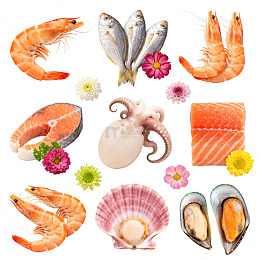 海鲜美食组合插画素材