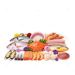 海鲜盛宴新鲜鱼类贝类组合