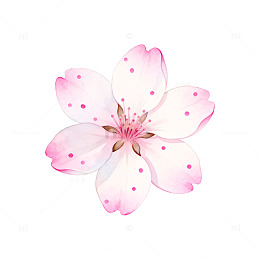 樱花盛开春天景象矢量素材