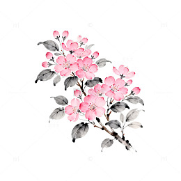 水墨花卉插画设计元素