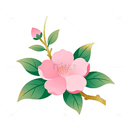 插画风格粉色山茶花矢量图