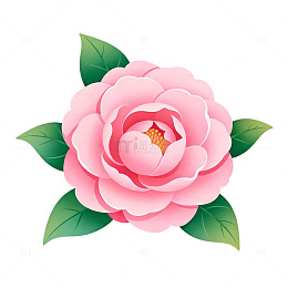 粉色山茶花卡通矢量图