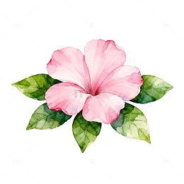 水彩粉花绿叶图案设计元素