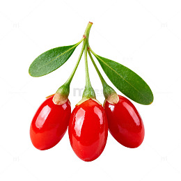 鲜艳枸杞特写片