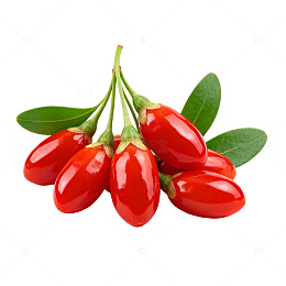 鲜艳枸杞果实特写片