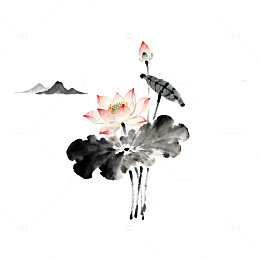 水墨画荷花鸟景国画风格