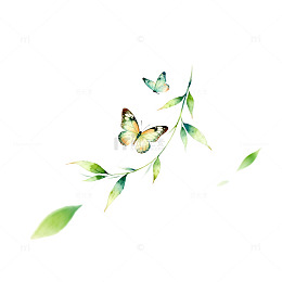 清新蝴蝶绿叶淡雅水彩画
