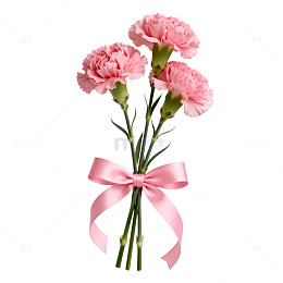 粉色康乃馨花束装饰素材
