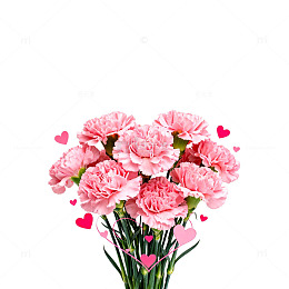 粉红康乃馨心形装饰图