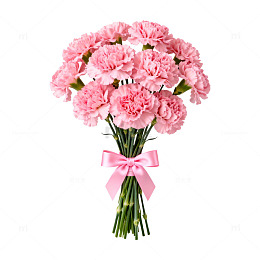 粉色康乃馨花束图片