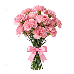 粉色康乃馨花束