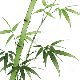 中秋笔墨竹子元素手绘